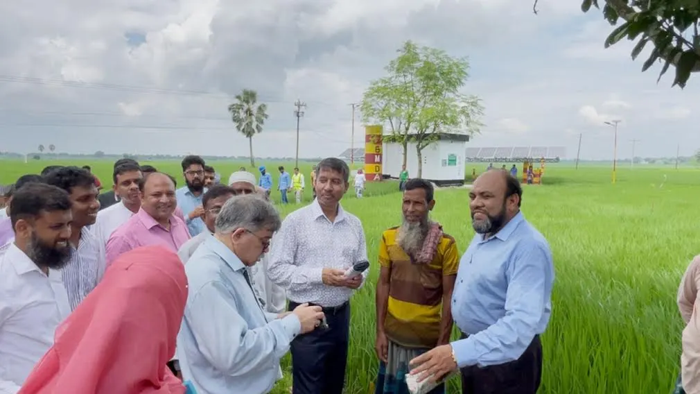 কৃষি সচিব রাজশাহীর গোদাগাড়ী উপজেলার লালদিঘি এলাকা পরিদর্শন করেছেন এবং কৃষকদের সাথে মতবিনিময় করেছেন। ছবি: বাসস