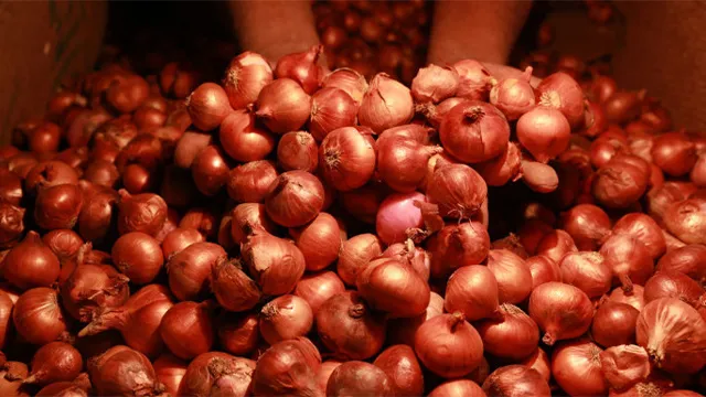 পেঁয়াজ বিডিএক্সপ্রেস